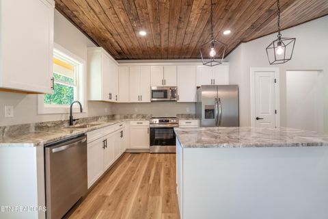 Tiny photo for 945 Smoky Mountain View Court, Seymour, TN 37865 (MLS # 1317478)