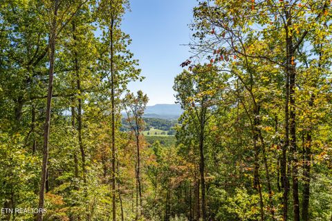 Tiny photo for 945 Smoky Mountain View Court, Seymour, TN 37865 (MLS # 1317478)