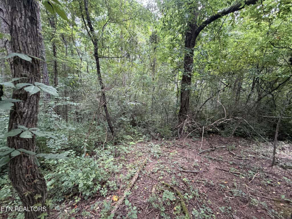 Photo of 15 Sunrise Blvd, Kodak, TN 37764 (MLS # 1351181)