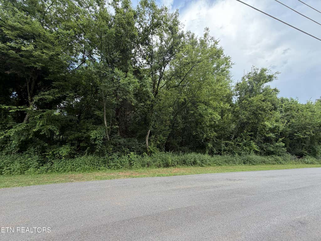 Photo of 15 Sunrise Blvd, Kodak, TN 37764 (MLS # 1351181)