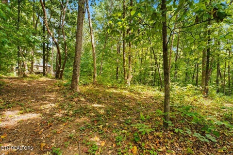 Tiny photo for 6901 Howard School Rd, Maryville, TN 37801 (MLS # 1355621)