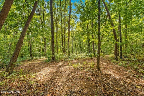 Tiny photo for 6901 Howard School Rd, Maryville, TN 37801 (MLS # 1355621)
