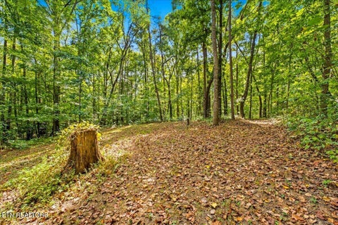 Tiny photo for 6901 Howard School Rd, Maryville, TN 37801 (MLS # 1355621)