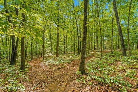 Tiny photo for 6901 Howard School Rd, Maryville, TN 37801 (MLS # 1355621)