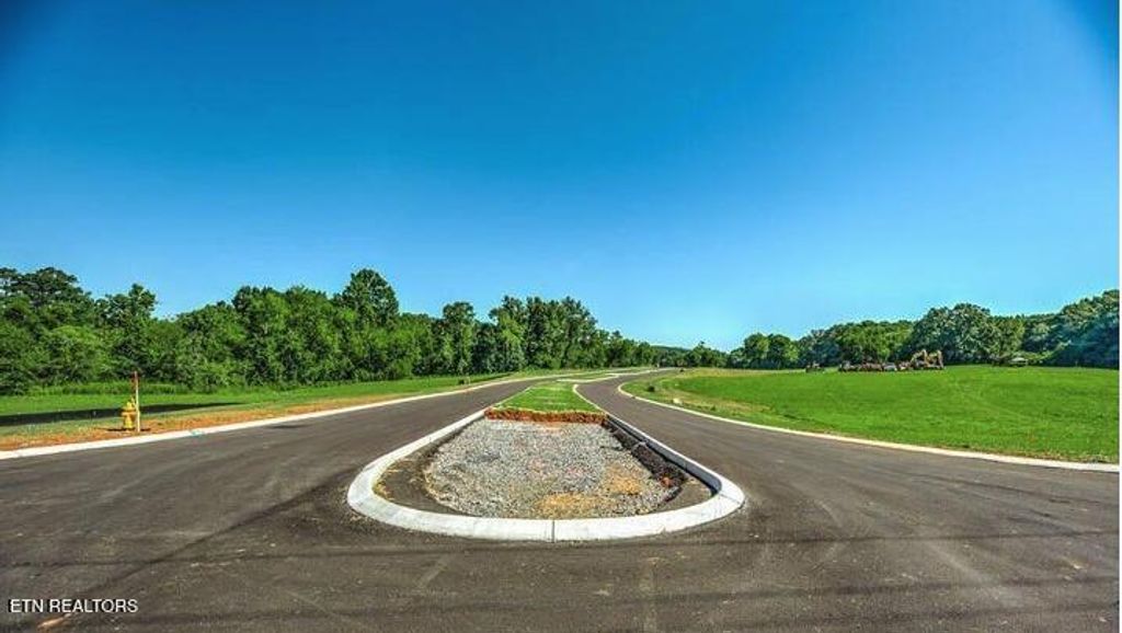 Photo of 64 Caswell Drive, Greenback, TN 37742 (MLS # 1316202)