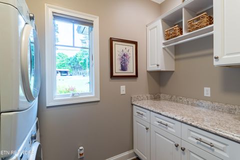 Tiny photo for 853 Collie Cove Court, Friendsville, TN 37737 (MLS # 1338698)