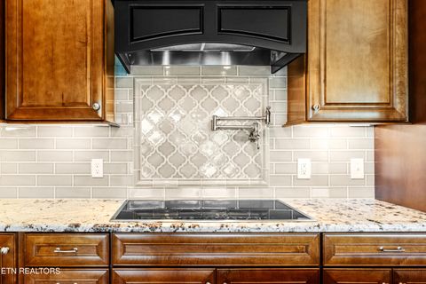 Tiny photo for 853 Collie Cove Court, Friendsville, TN 37737 (MLS # 1338698)