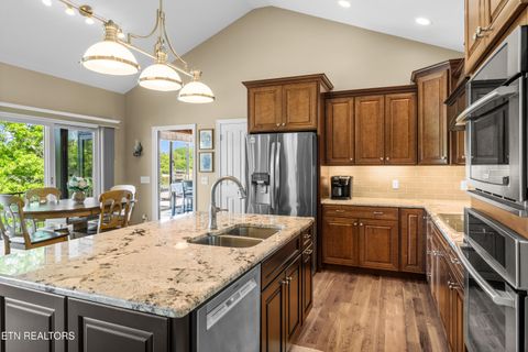 Tiny photo for 853 Collie Cove Court, Friendsville, TN 37737 (MLS # 1338698)