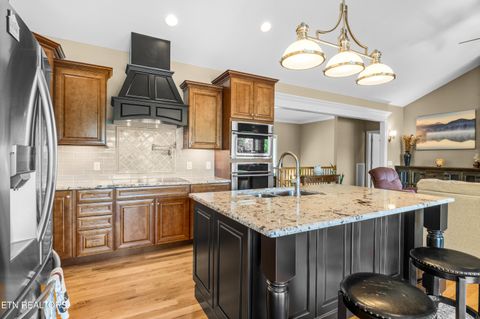 Tiny photo for 853 Collie Cove Court, Friendsville, TN 37737 (MLS # 1338698)