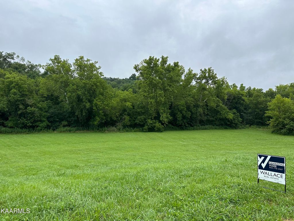 Photo of 606 Running Brook Drive, Strawberry Plains, TN 37871 (MLS # 1233767)