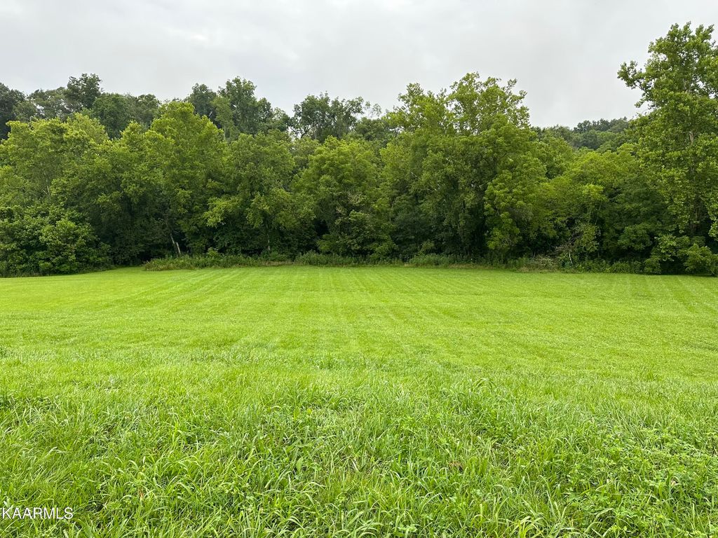 Photo of 606 Running Brook Drive, Strawberry Plains, TN 37871 (MLS # 1233767)