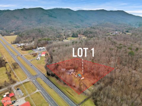 4532 E Lamar Alexander Pkwy Walland TN 37886