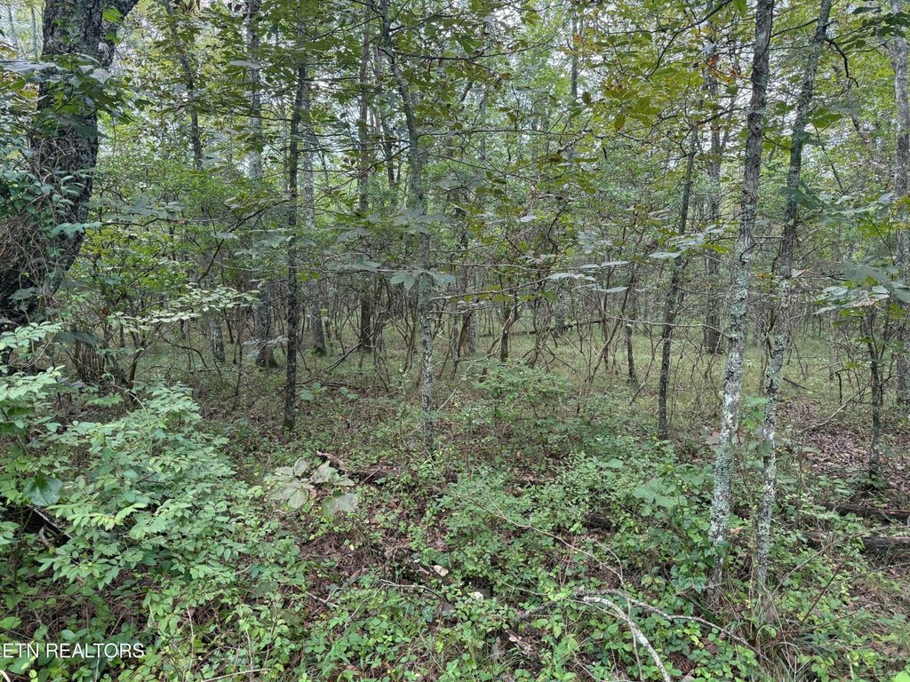 Photo of 130 Blackburn Drive, Crossville, TN 38558 (MLS # 1352359)