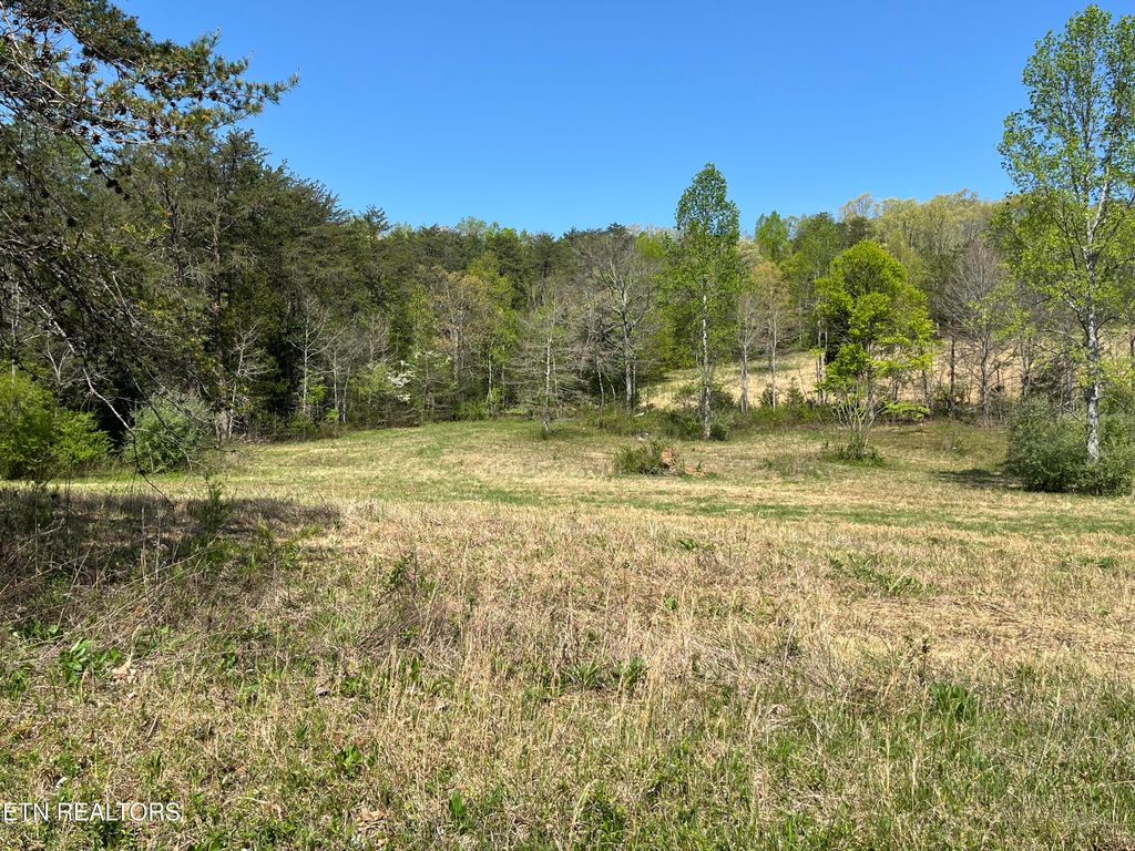 Photo of 2163 Fairview Rd, Tellico Plains, TN 37385 (MLS # 1297222)