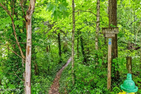 Tiny photo for 2335 Southside Rd, Knoxville, TN 37920 (MLS # 1340249)