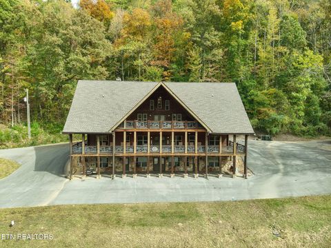 Tiny photo for 173 Rafter Rd, Tellico Plains, TN 37385 (MLS # 1324201)