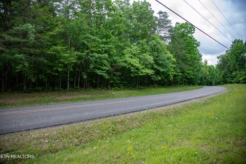 Tiny photo for 0 Lot 6 Cumberland Lakes Drive, Monterey, TN 38574 (MLS # 1344495)
