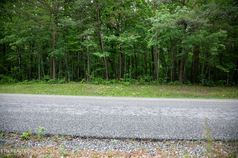 Tiny photo for 0 Lot 6 Cumberland Lakes Drive, Monterey, TN 38574 (MLS # 1344495)