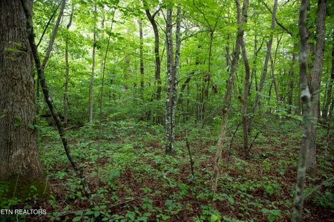Tiny photo for 0 Lot 6 Cumberland Lakes Drive, Monterey, TN 38574 (MLS # 1344495)