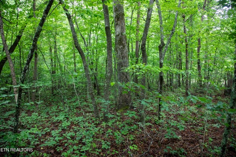 Tiny photo for 0 Lot 6 Cumberland Lakes Drive, Monterey, TN 38574 (MLS # 1344495)