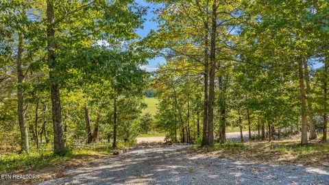 Tiny photo for 233 County Road 365, Sweetwater, TN 37874 (MLS # 1317754)