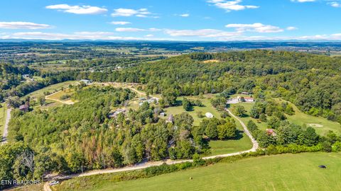 Tiny photo for 233 County Road 365, Sweetwater, TN 37874 (MLS # 1317754)