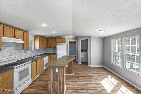 Tiny photo for 233 County Road 365, Sweetwater, TN 37874 (MLS # 1317754)