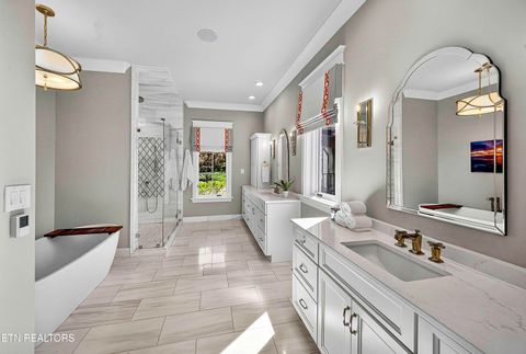 Tiny photo for 12027 Rivanna Lane, Knoxville, TN 37922 (MLS # 1336182)