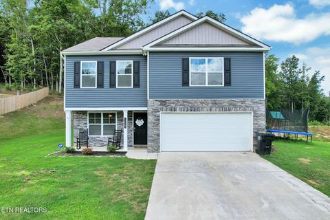 12263 Bull Run Birchwood TN 37308