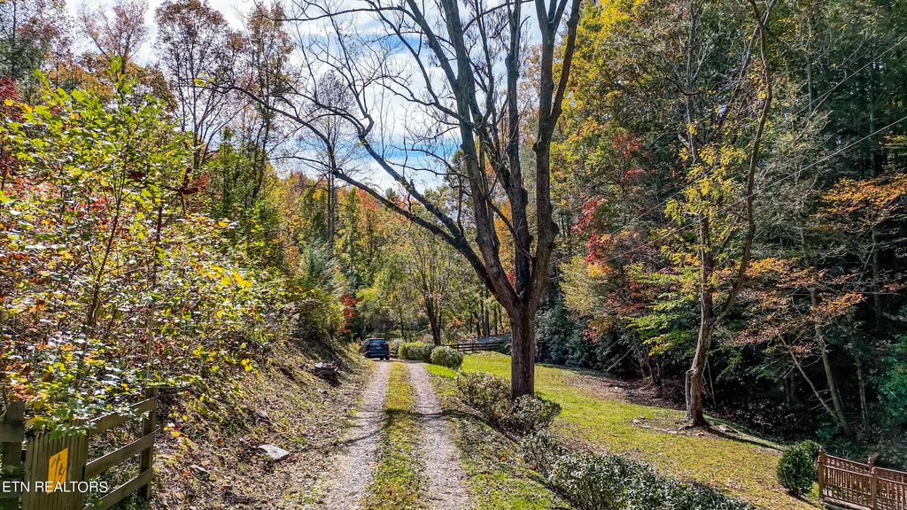 Photo of 2005 Rafter Rd, Tellico Plains, TN 37385 (MLS # 1244144)