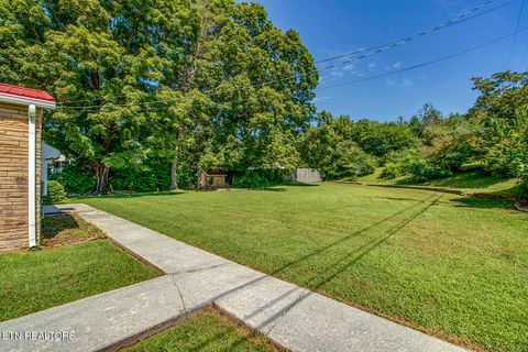 Tiny photo for 522 Court St, Wartburg, TN 37887 (MLS # 1325036)