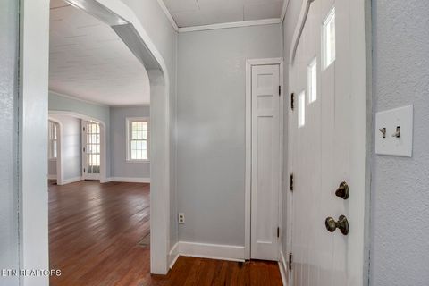 Tiny photo for 522 Court St, Wartburg, TN 37887 (MLS # 1325036)