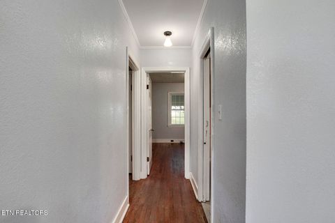 Tiny photo for 522 Court St, Wartburg, TN 37887 (MLS # 1325036)