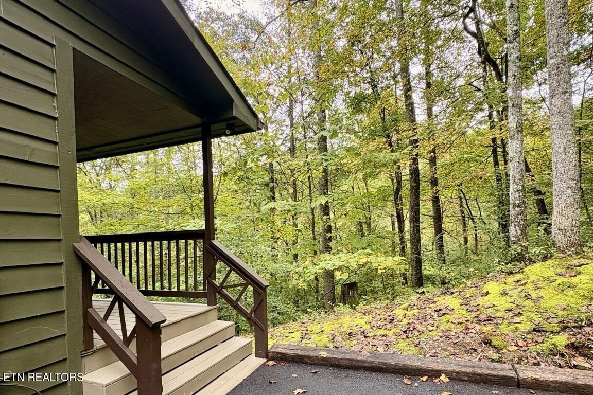 115 Fern Hollow Rd