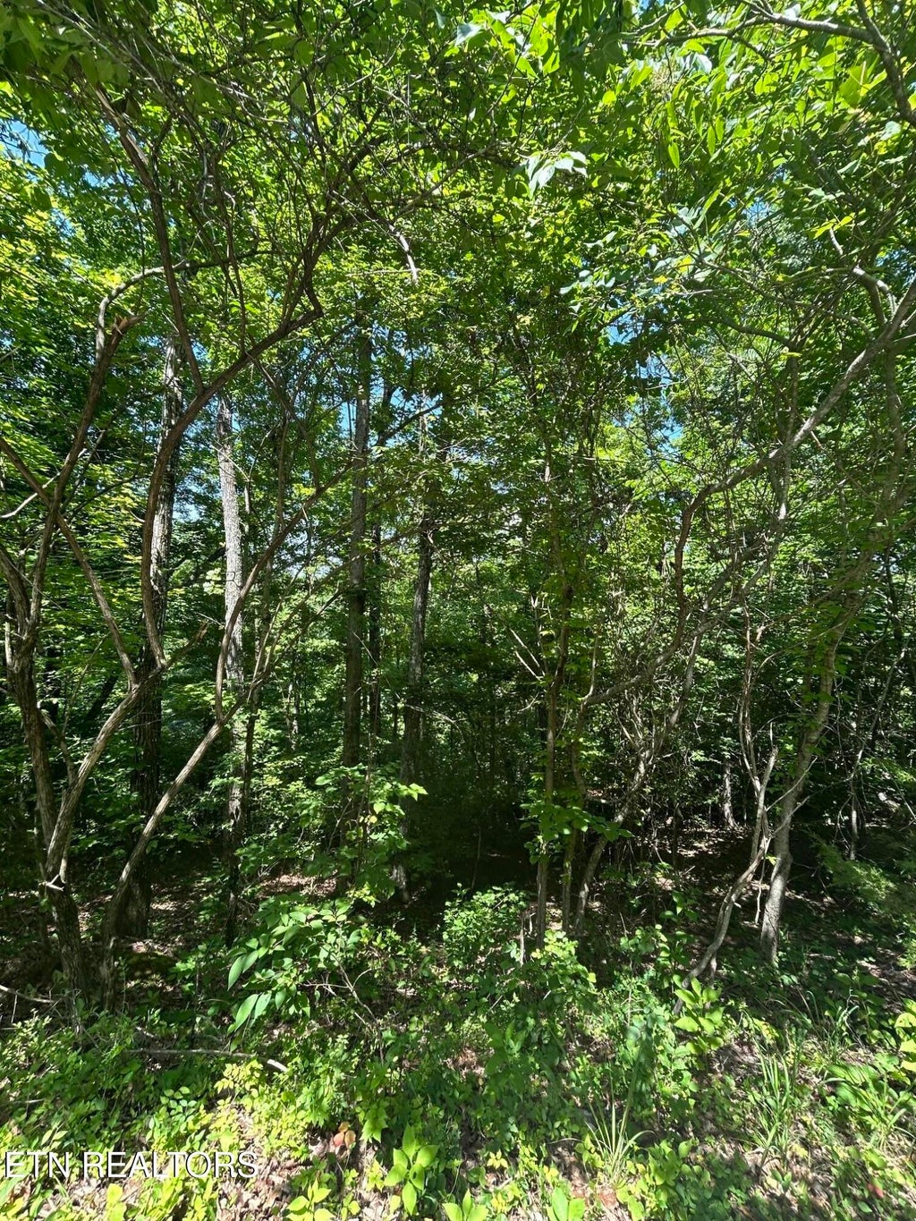 Photo of 714 Russell Brothers Rd, Sharps Chapel, TN 37866 (MLS # 1348369)