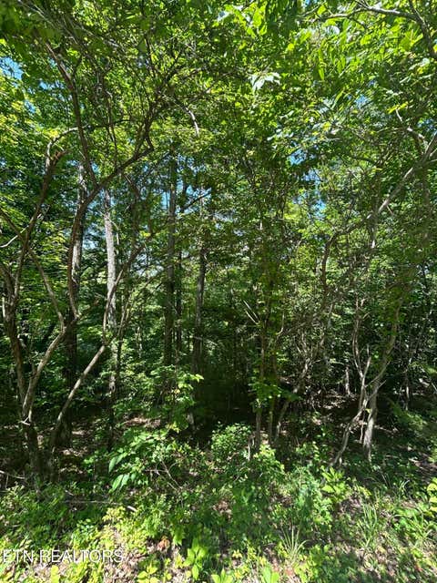 Photo of 714 Russell Brothers Rd, Sharps Chapel, TN 37866 (MLS # 1348369)
