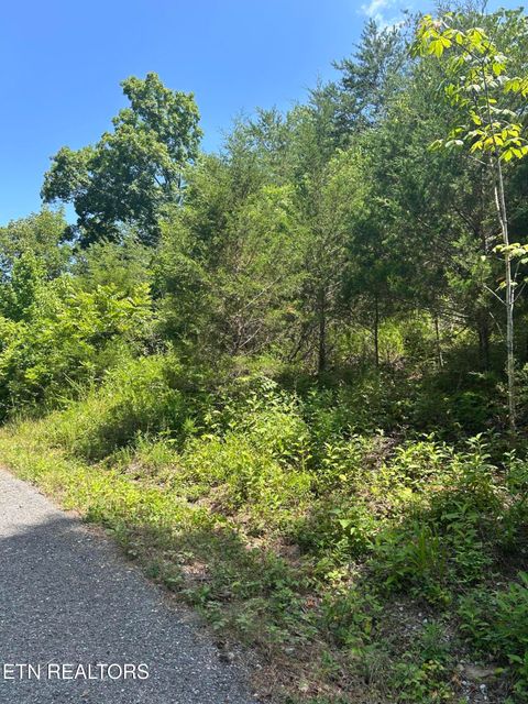 Tiny photo for 714 Russell Brothers Rd, Sharps Chapel, TN 37866 (MLS # 1348369)