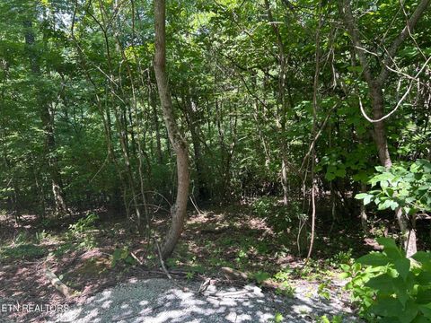 Tiny photo for 714 Russell Brothers Rd, Sharps Chapel, TN 37866 (MLS # 1348369)