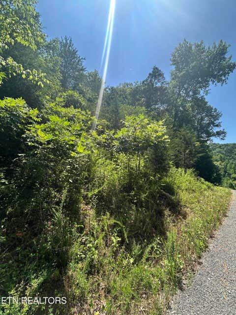 Tiny photo for 714 Russell Brothers Rd, Sharps Chapel, TN 37866 (MLS # 1348369)