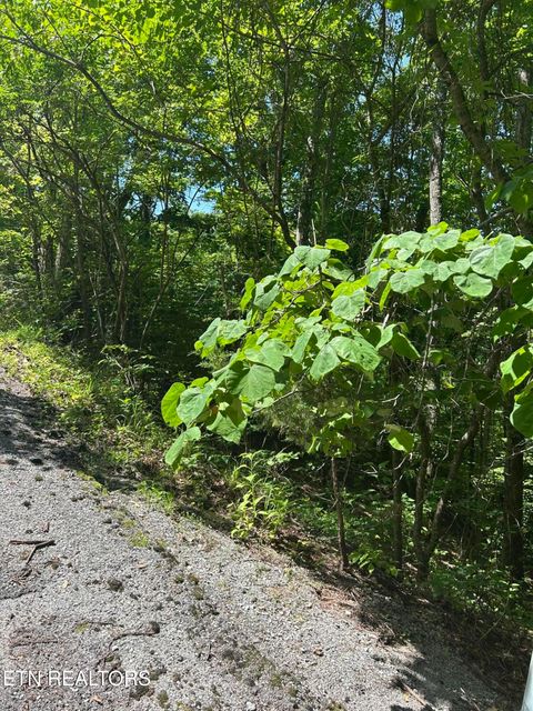 Tiny photo for 714 Russell Brothers Rd, Sharps Chapel, TN 37866 (MLS # 1348369)