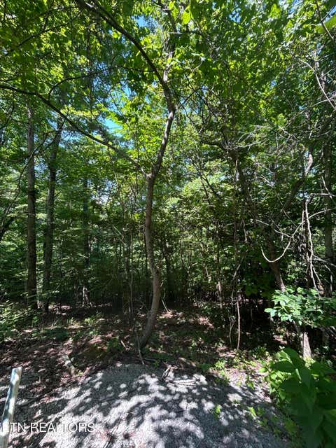 Tiny photo for 714 Russell Brothers Rd, Sharps Chapel, TN 37866 (MLS # 1348369)
