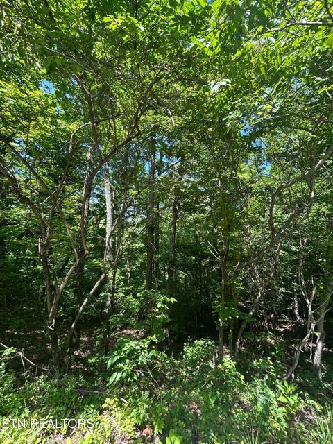 Tiny photo for 714 Russell Brothers Rd, Sharps Chapel, TN 37866 (MLS # 1348369)