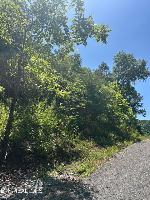Tiny photo for 714 Russell Brothers Rd, Sharps Chapel, TN 37866 (MLS # 1348369)