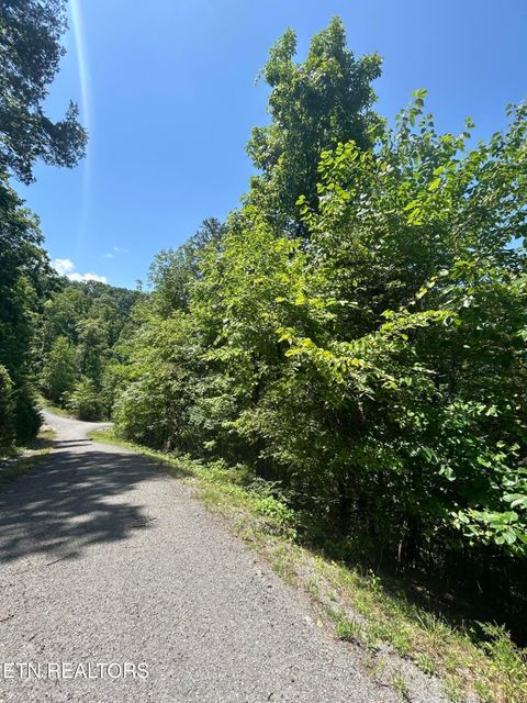 Tiny photo for 714 Russell Brothers Rd, Sharps Chapel, TN 37866 (MLS # 1348369)