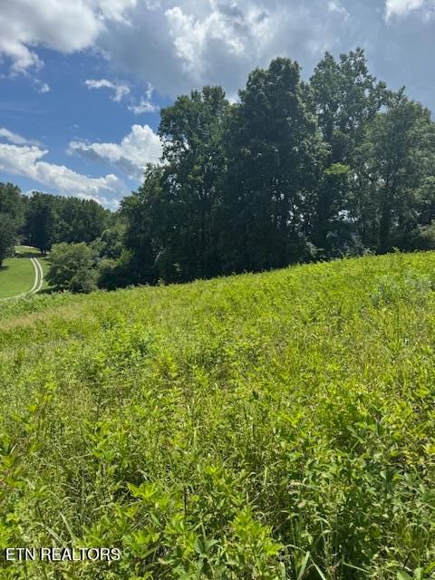 Photo of 0 Oak Grove Rd, Rocky Top, TN 37769 (MLS # 1308501)
