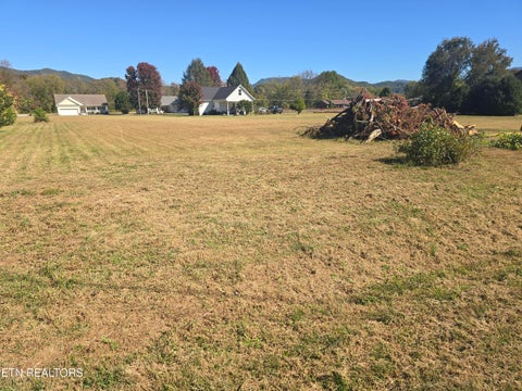 Tiny photo for Clearwater Drive, Townsend, TN 37882 (MLS # 1359927)