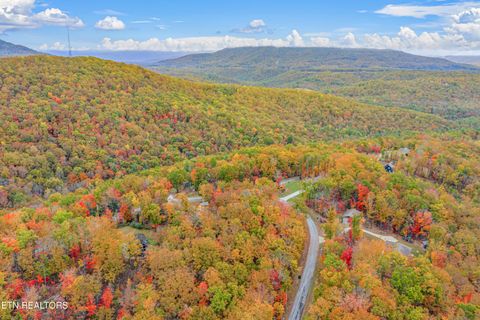 Tiny photo for 795 Green Ridge Tr, Harriman, TN 37748 (MLS # 1321048)