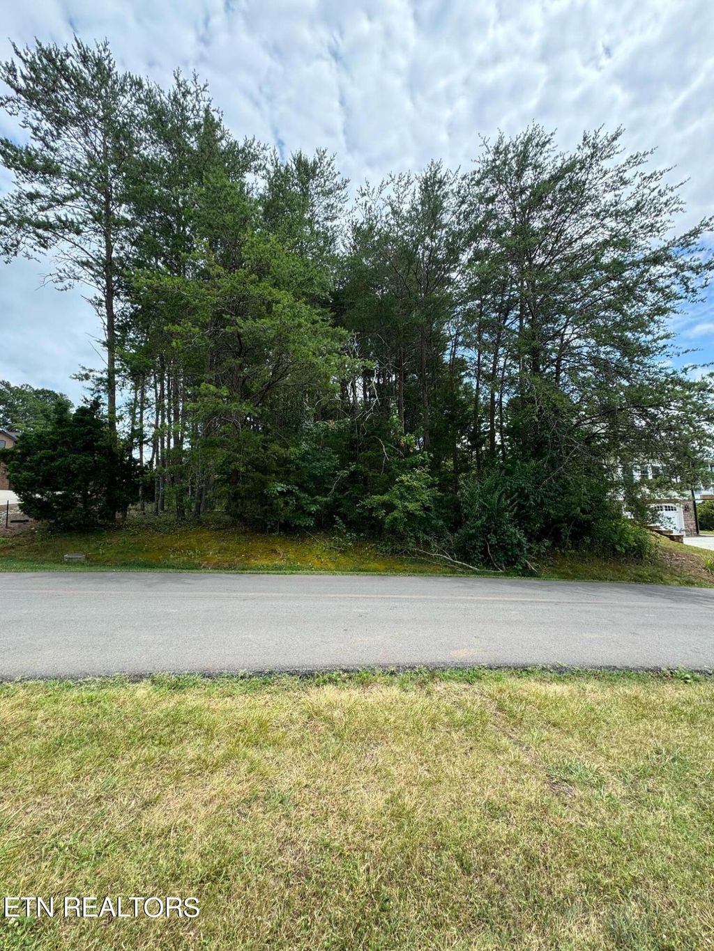 Photo of 307 Southshore Drive, Greenback, TN 37742 (MLS # 1267843)