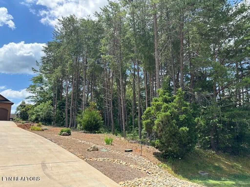 Photo of 307 Southshore Drive, Greenback, TN 37742 (MLS # 1267843)