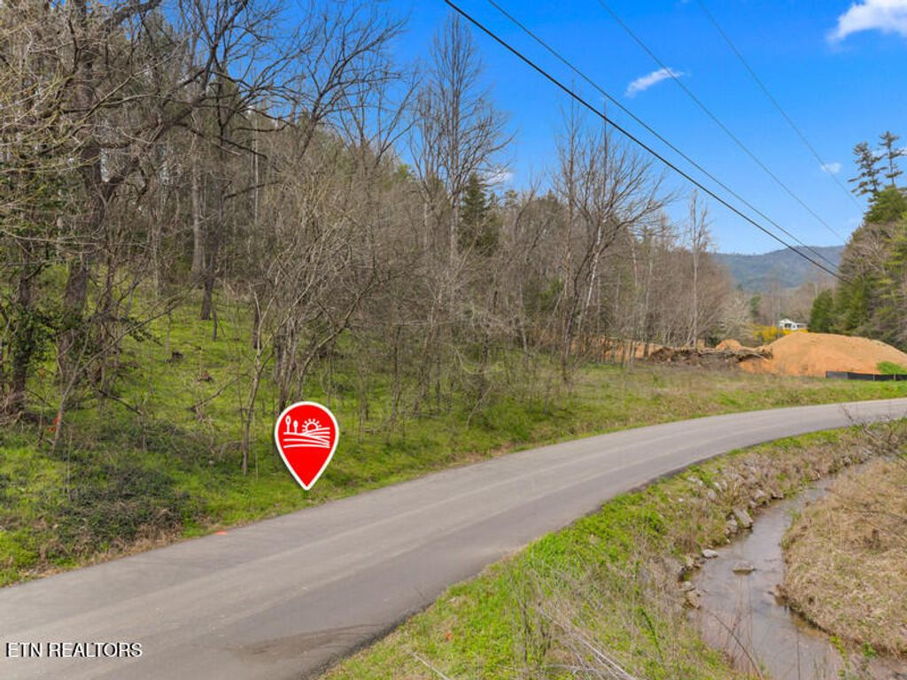 Photo of 5 Obes Branch Rd, Sevierville, TN 37876 (MLS # 1333675)
